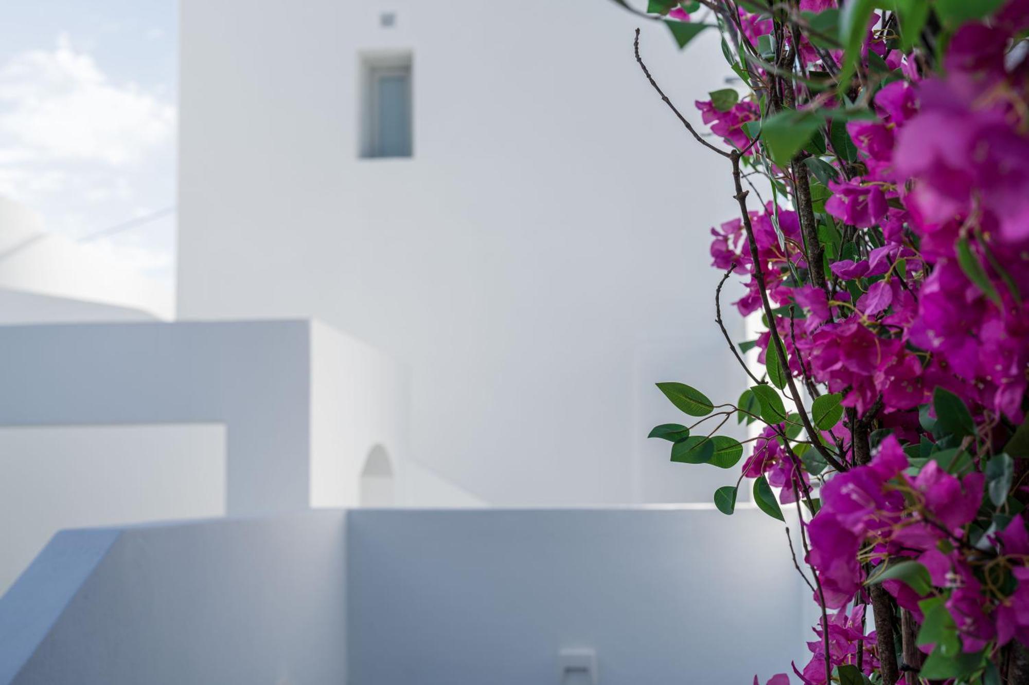 Cycladic Suites & Spa サントリーニ エクステリア 写真