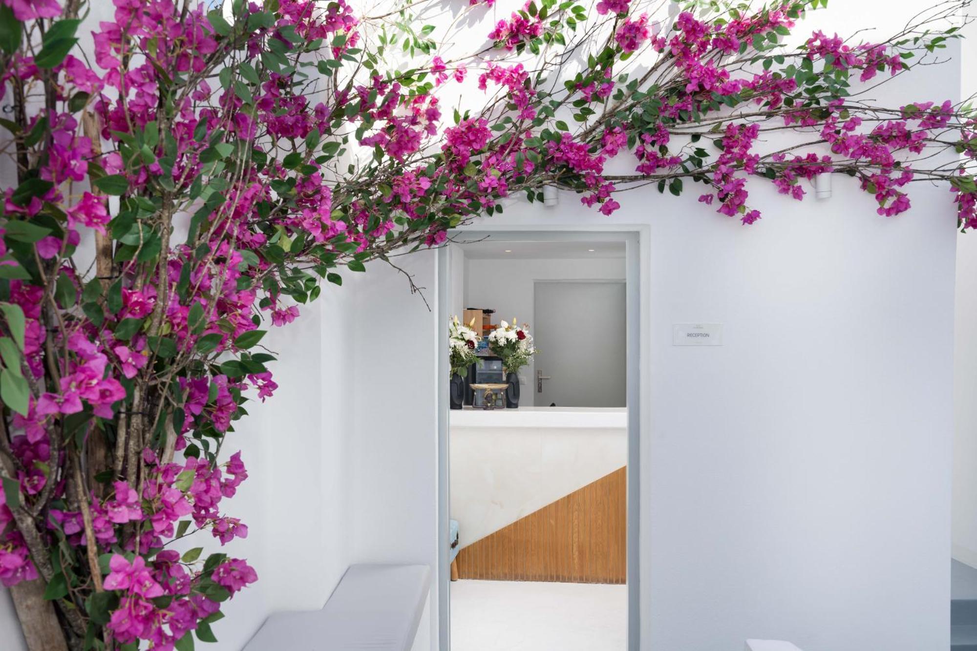 Cycladic Suites & Spa サントリーニ エクステリア 写真